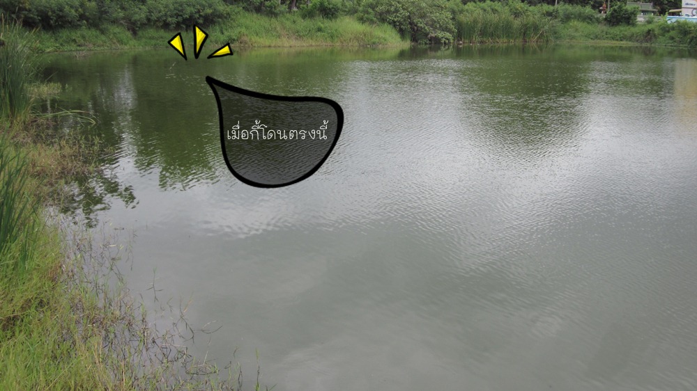  :smile: