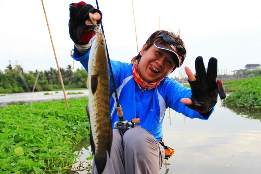 เอ 9 - 2 ไก่

 :laughing: :laughing: :laughing: :laughing: :laughing: :laughing: