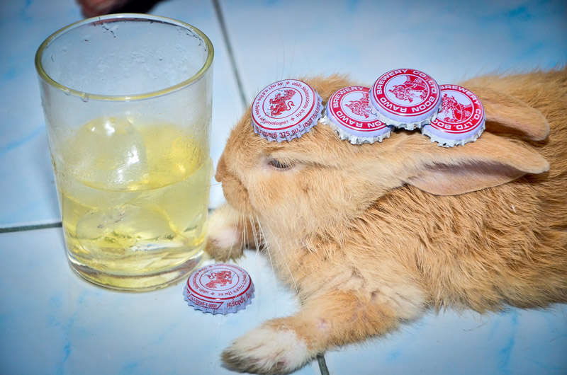 ไอ สเมิฟ  ก็นอนเฝ้าพ่อมัน ....

โดนพ่อมันแกล้งอีกน่าสงสาร...

 :smile: :smile: :smile: :smile: :