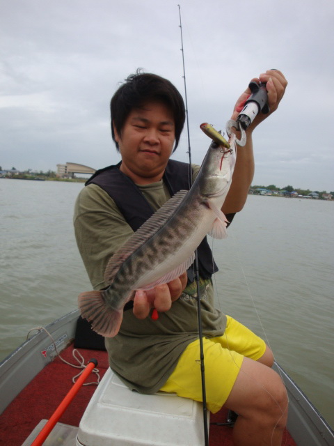 [q][i]อ้างถึง: HMX posted: 08-05-2555, 15:32:57[/i]

ตามไปตกกุ้งด้วยคน  :grin:[/q]


:love: :lo