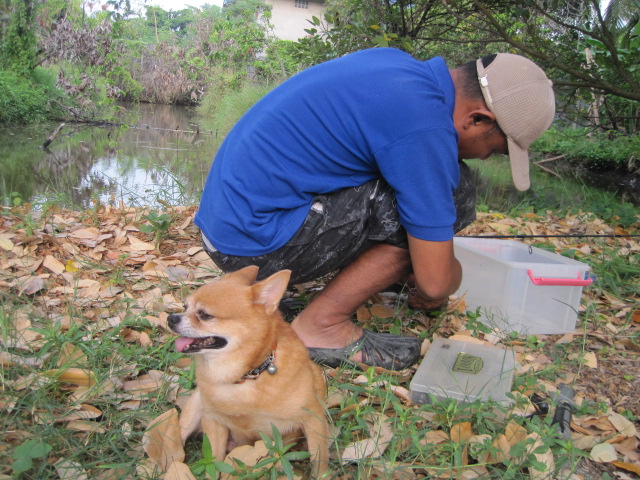 กลับมาเล่นเทคซัทเหมือนเดิมดีกว่า 