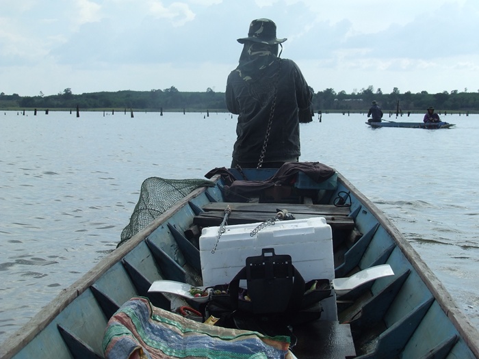 เรือลำใหญ่จัด  พายไม่ไหว  ลากเอาเลยครับ