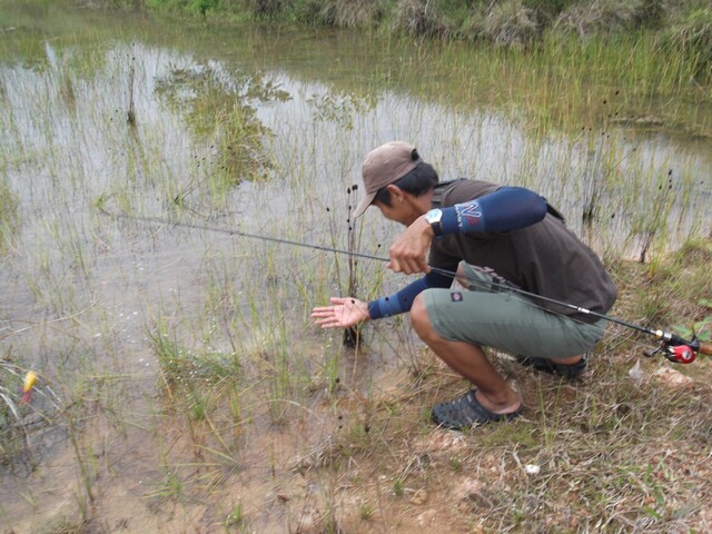 [q][i]อ้างถึง: Panuwatfishing posted: 09-05-2555, 21:03:22[/i]

มาชม รอบ 2 คับน้า ฉาม สุดหล่อ  :ki