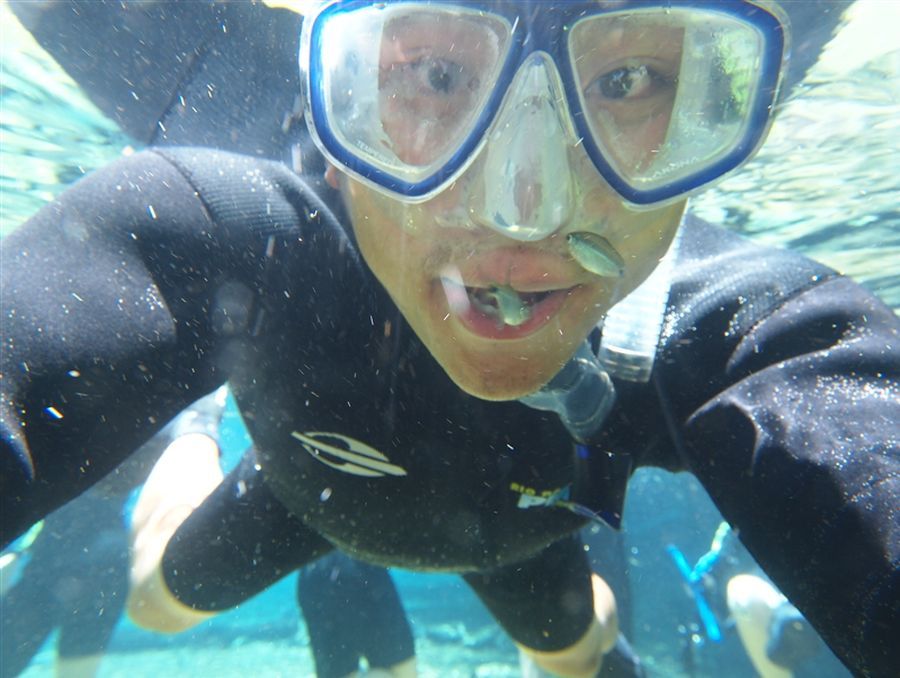 ให้ปลา ลัมบาริ มาทำความสะอาดหน่อย ถ้าอ้ากว้างๆ สงสัยมันจะเข้าไปเลย  :laughing: :laughing: :laughing:
