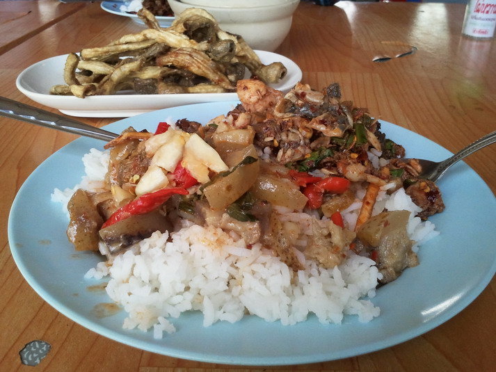 หาร้านข้างทาง อาหารป่า(ในเมือง)อร่อยสุดครับ... :umh: :umh: :umh: