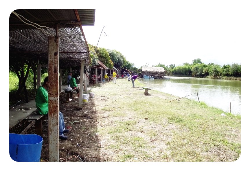 บรรยากาศเช้า ๆ ที่บ่อแข่งนักตกปลายังไม่เยอะเท่าไหร่ครับ เพราะฝนตั้งเค้าแต่เช้าเลย  ถามน้าอ้อ เจ้าของ