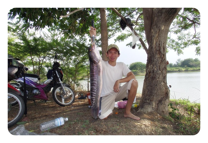 กลับบ้านที่เชียงใหม่ ต้องเอารูปไปอวดแม่กับพ่อ ว่าตกได้เอง ตัวใหญ่  โม้ซะหน่อย....5555..... :laughing