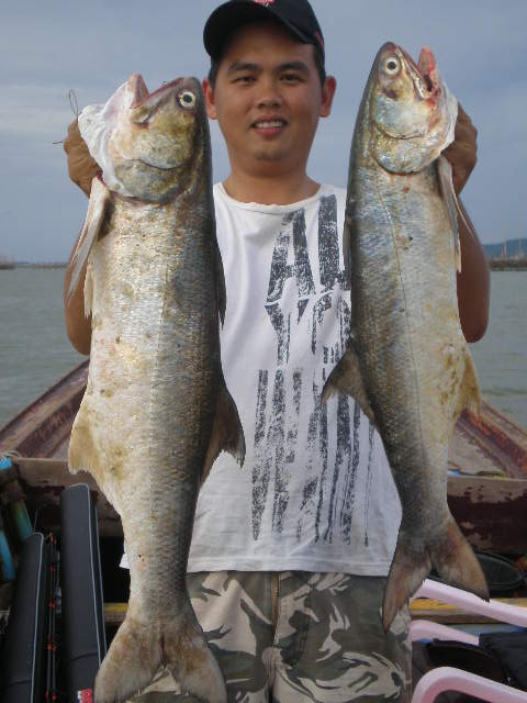 
 [b]ทริปหน้าจะไปตามหาเจ้าตัวในรูปอีกซักรอบ กำลังเล่นไล่จับกันอยู่[/b]
 [b]ถ้าได้ดียังไง จะค่อยส่ง