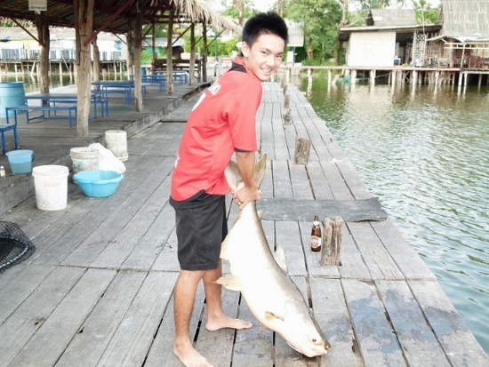 บ่ายสอง  ได้ตัวเดียว  สมน้ำหน้า เวรกรรมไม่ต้องรอชาติหน้า  อดทนไว้ก่อนนะ  น่าจะมีพระเอกขี่ม้าขาวมาช่ว
