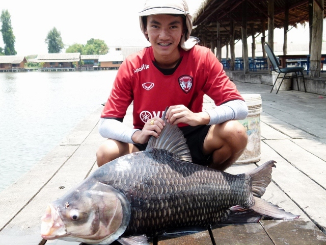ฝันของเด็กเมื่อวานซืน  ยินดีด้วยนะ  นายแน่มากฝากไว้ก่อนเถอะ  แล้วเราจะได้เห็นดีกัน :ohno: :ohno: :oh