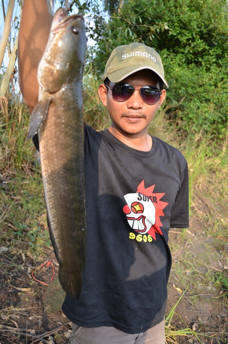 เอ้า สุดท้ายปลาใหญ่ แต่ไม่ชัด  :laughing: :laughing: :laughing: :laughing: :laughing: