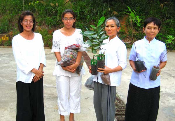 228

เราสุดแสนดีใจ
ได้แจกต้นไม้อีกที่แล้ว
พร้อมเมล็ดเม็ดไกร
