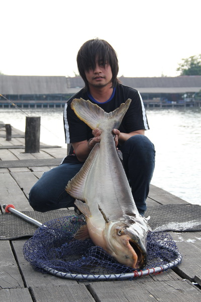 ขอท่านี้บ้าง... :blush: :blush: