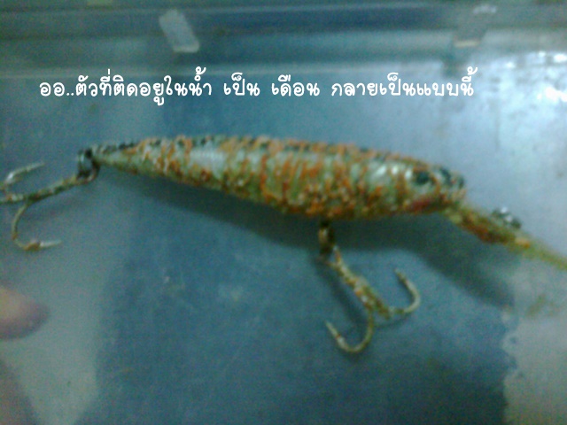 สรุปว่าลงเรือก็แห้วครับ