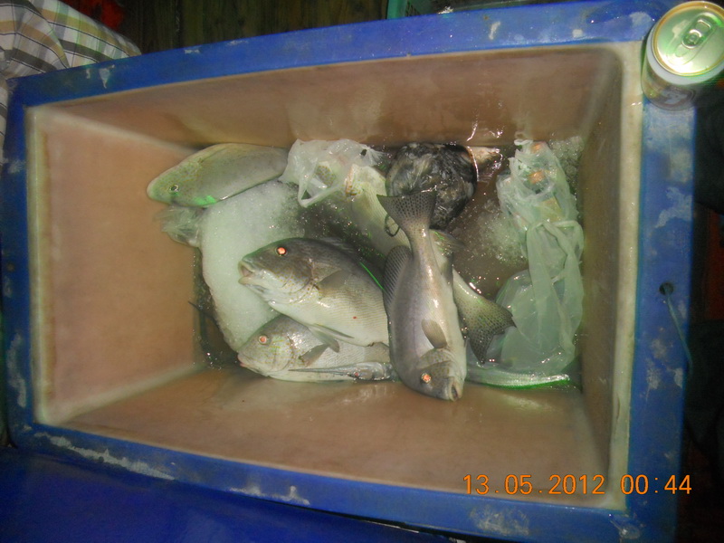 ปลารวมตอนนี้ผม2 เสี่ยทอง1 ไต๋ปิง1 พริ้ว 1ท้ายเรือหลับ..55