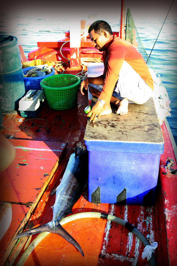 ลงเรือไปกับไต๋คนนี้...