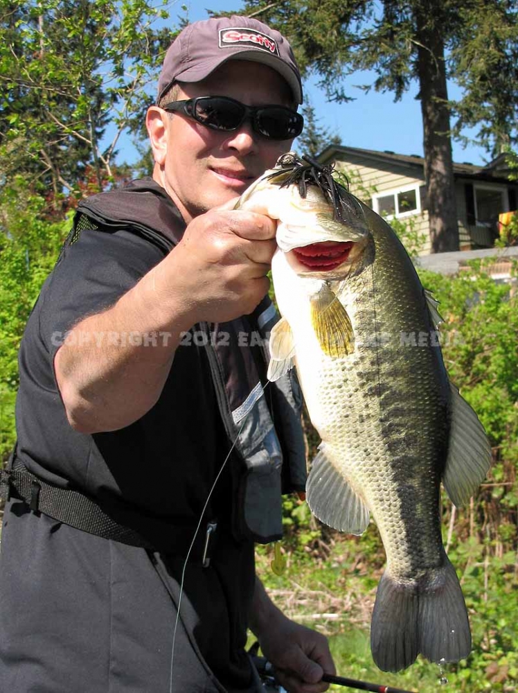 This Largemouth Bass!