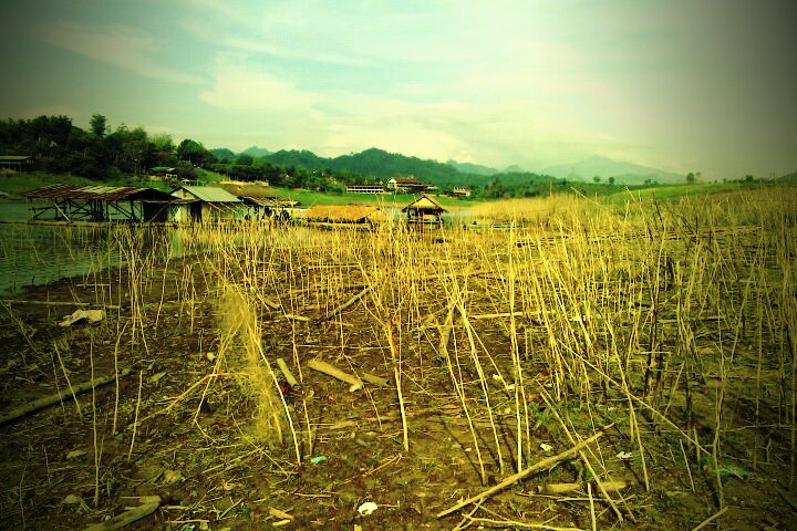 ก่อนขึ้นเรือเลยเก็บสักภาพ แห้งลงไปแบบน่าใจหาย 
ว่ากันที่ราคาเรือแล้วกันครับ
คือเรือแบบเหมาลำไม่เกิ