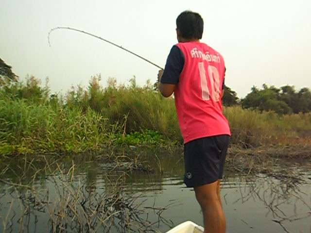 [q][i]อ้างถึง: aukung posted: 14-05-2555, 16:35:27[/i]

 :cheer: :cheer:[/q]
สวัสดีครับน้าaukung 