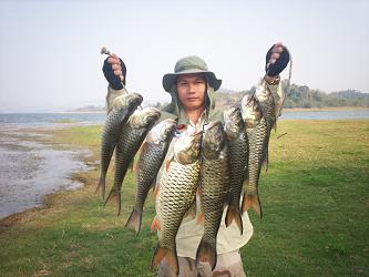 ทดลองส่งครับน้าๆทุกท่าน