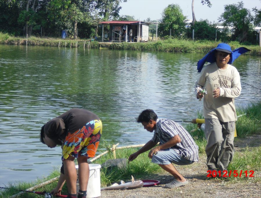 ปลดทิ้งดีกว่าเรา เล็กไปนิด :grin:
