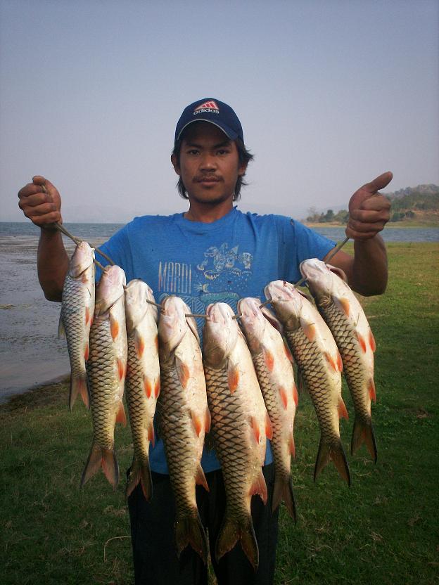 นายท้ายเรือผมครับ คุณเอก