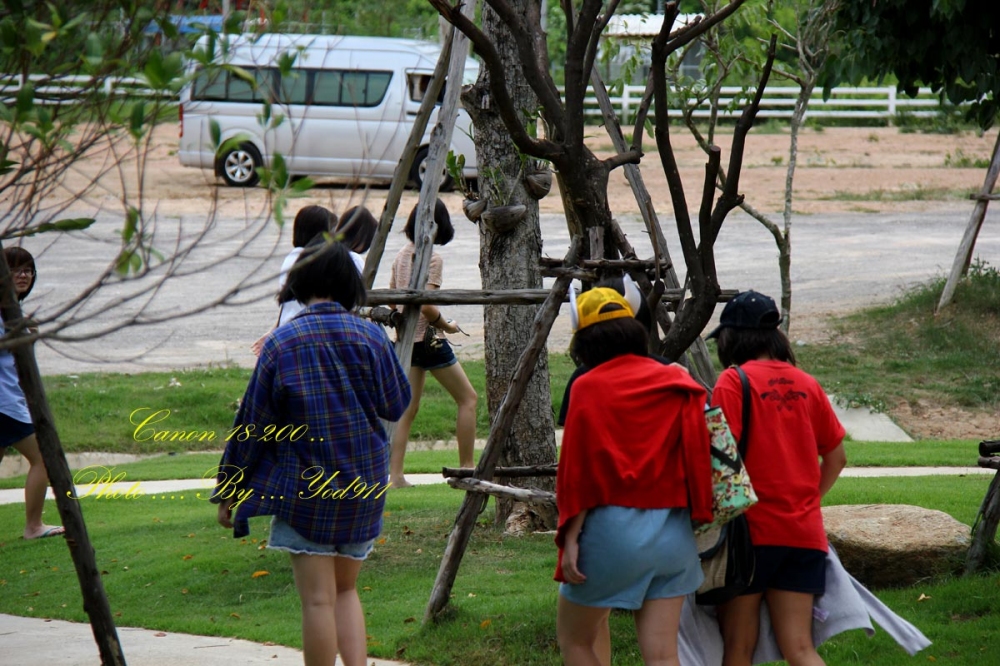 แจ่มๆๆทั้งนั้น ต้นไม้สวยมาก :laughing: :laughing: :laughing:
