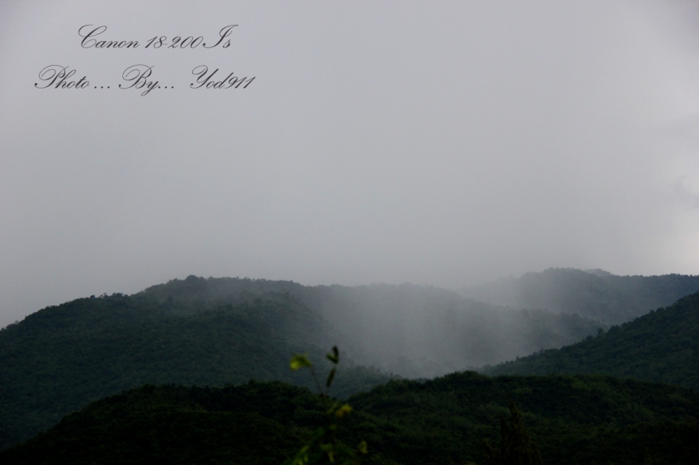 ฝนตก