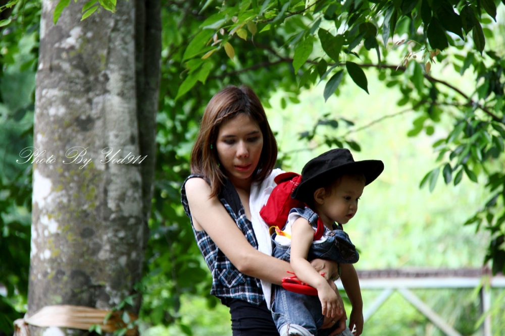 เห็นน้ำตกแล้ว