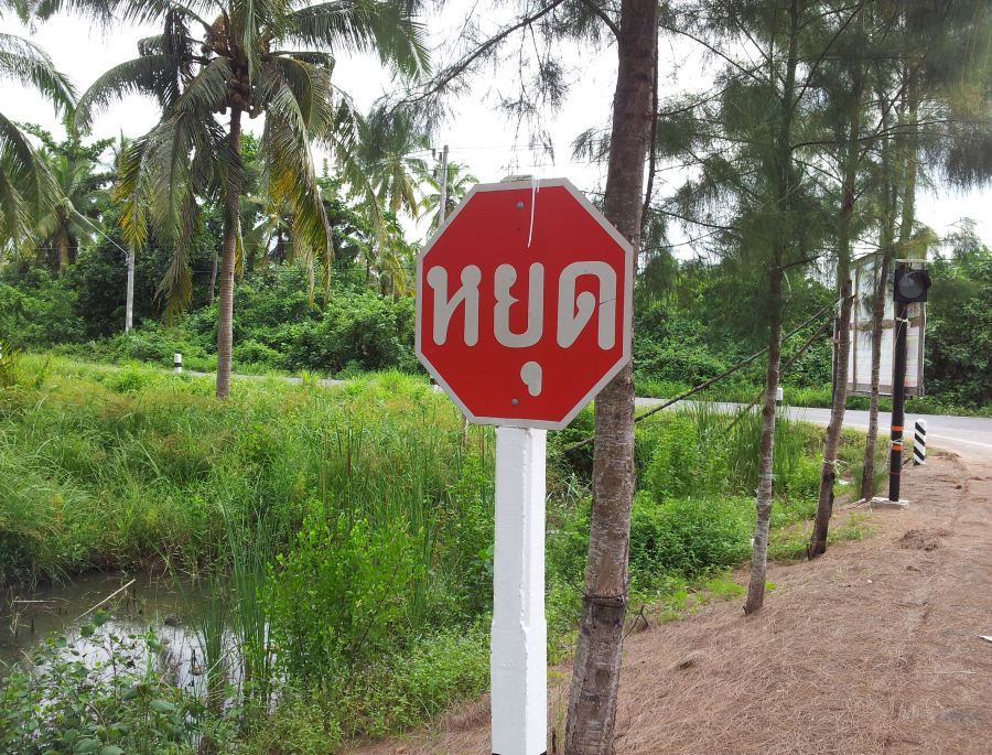 จำใจต้องกลับแล้วครับเลยหาหมายตามทางไว้คราวหน้า