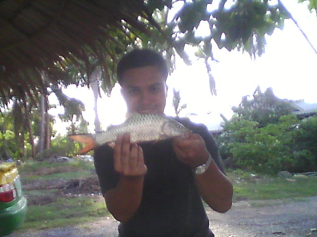 ปลากระสูบน้อย ที่บ่ออเมซอน สาย1 ครับ เป็นบ่อเก่า ก่อนกลับบ้านครับ :grin: :smile: :laughing: :cool: :