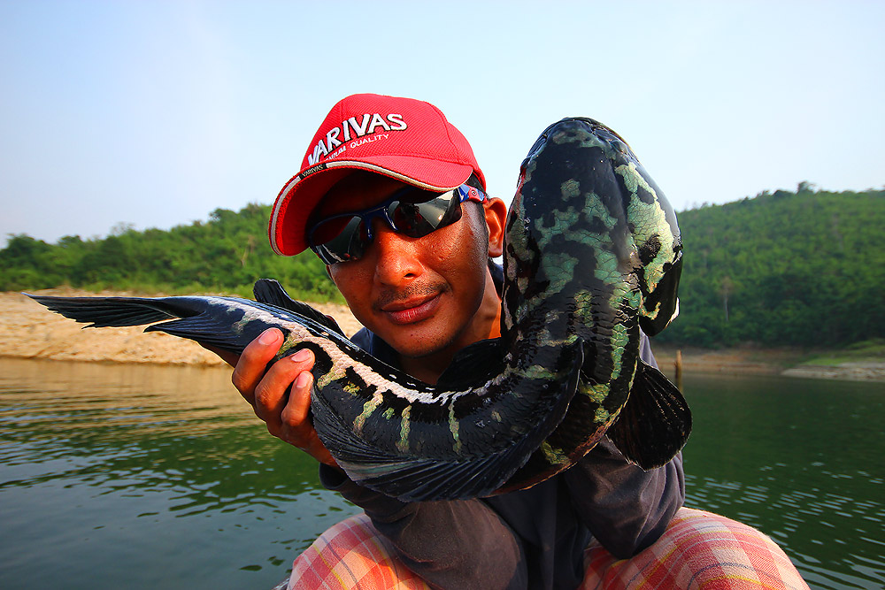 [q][i]อ้างถึง: HunT56 posted: 20-05-2555, 19:40:17[/i]

ไปตกปลากด ที่ตาทรงไปตกบ้างมะพี่ เห็นพี่บอล