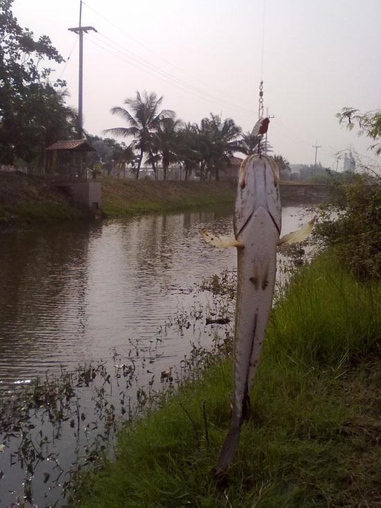 เปลี่ยนหมายไปเรื่อยๆครับ เมืองลพบุรี