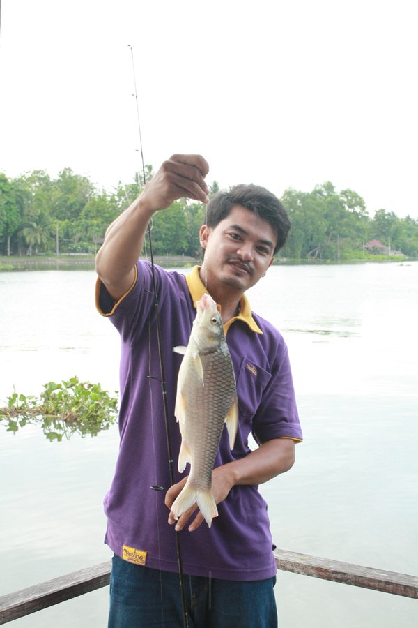 เจอตะโกกโหดแอบมากินลูกปลานิลซะงั้น :laughing: