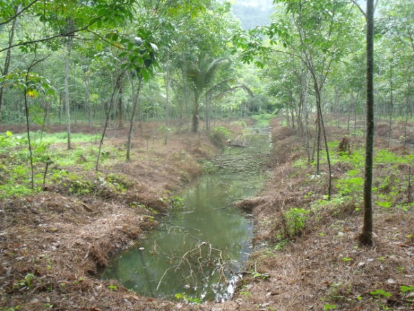 เริมตีไปเรื่อยๆ ครับ ฝนพึ่งหยุดตกด้วยครับ