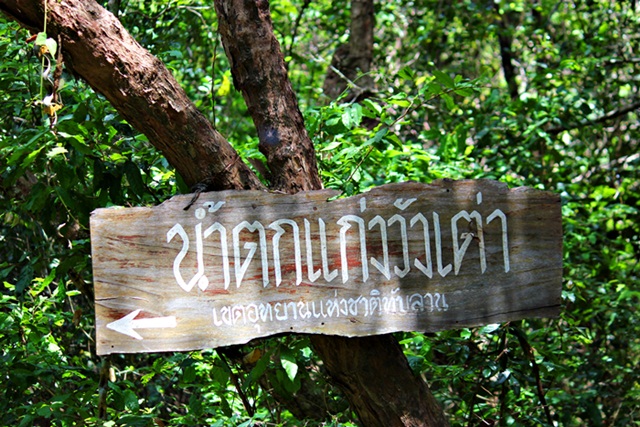 ระหว่างนั้นก็เดินขึ้นไปตกที่ต้นน้ำครับ  :grin: :grin: