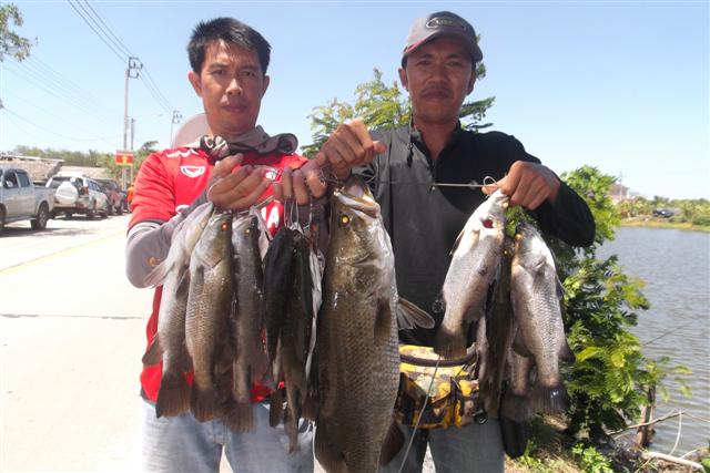 อันนี้โครตปลาพวงแน่ๆ :cool: :cool: :cool: