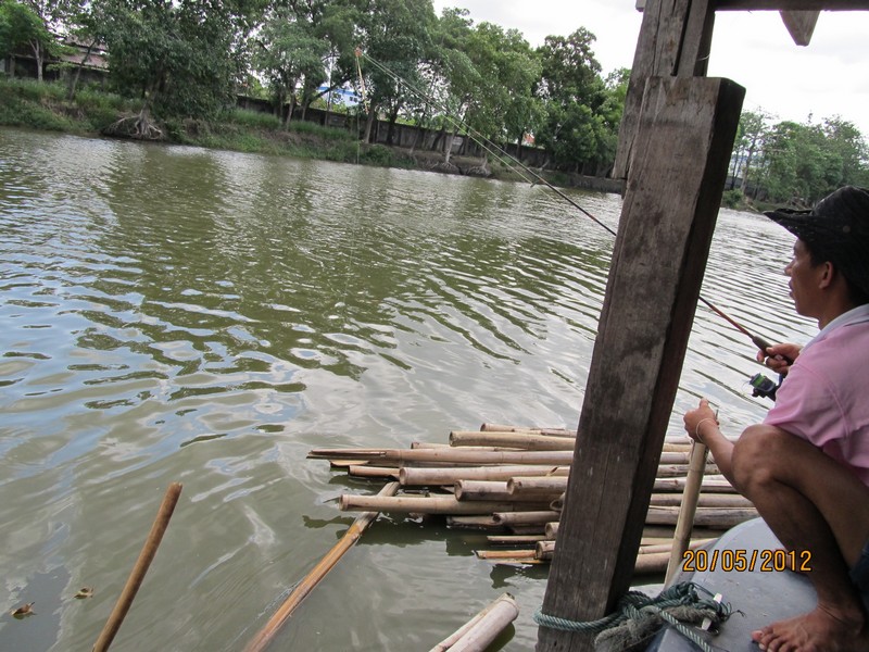 สภาพหมายครับ เป็นคองธรรมชาติในโครงการแก้มลิงครับ