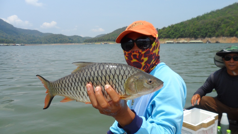 เจ้าหนุ่มก็ใช่ย่อย เจ๋งเหมือนกัน :cheer: