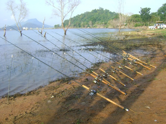 ชายฝั่ง หาดตาควร