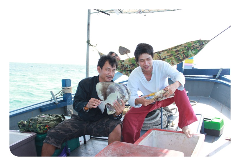 อุ๊ยปลากัด   :cheer: :cheer: :cheer: