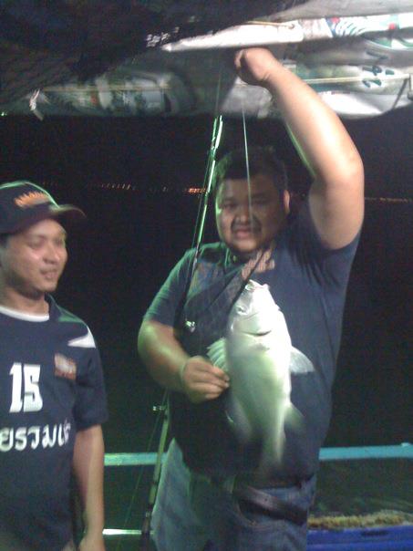 อ้าวพริ้วได้มาอีกตัวแล้ว..