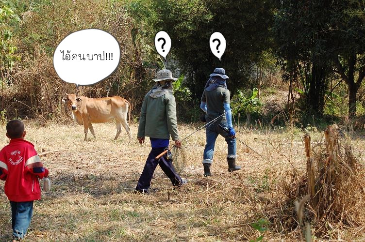 ไม่ต้องรำมวย  ให้เสียเวลา    ตามเข้าหมาย เด็ด  ของเด็กแว๊นซ์  กันเลยครับน้าๆ  :grin: