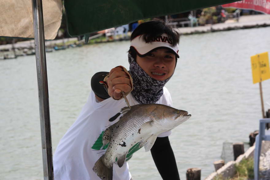 [q][i]อ้างถึง: nongconnon posted: 23-05-2555, 13:19:22[/i]

+++   ตามชมครับ   +++

 :cheer: :che