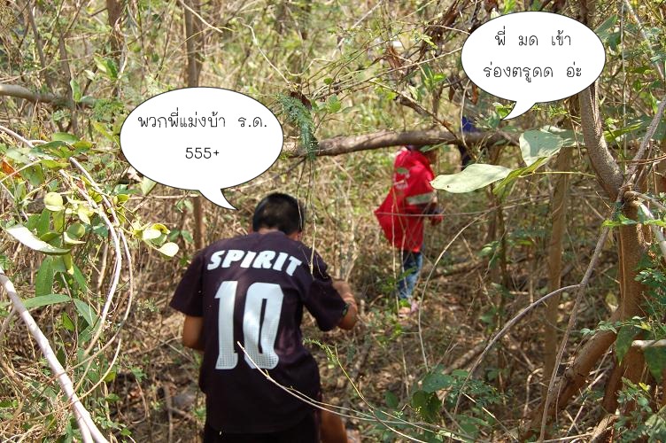ดูพวกมัน  พามุดแล้วยังพา  มาลุยป่ารกๆ  อีกปลาไม่มีพวก มรึงงงง โดนนนน  :laughing: :laughing: :laughin