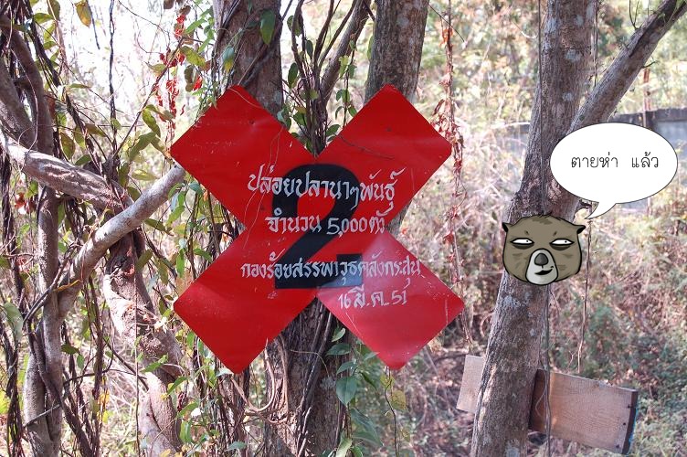 แล้วผมก็  หันไปเห็นป้าย กากบาท สีแดงๆ.......   อ่านว่าไร อ่ะ  :think: :think: :think: :think: :think