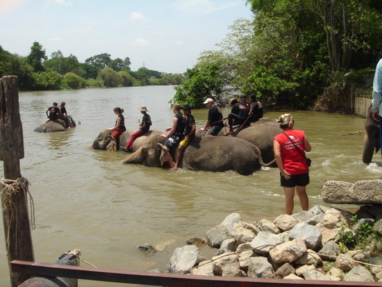 พอเอาเรือลงเสร็จเจ้าถิ่นลงอาบน้ำพอดีครับ