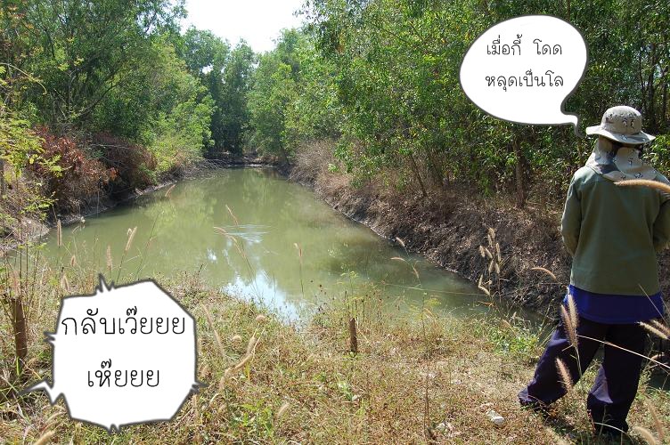 เพื่อน  นะ  ยังมันส์  ไม่รู้ว่าจะตาย  :laughing: :laughing: :laughing:
