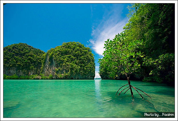 สอบถามเรือตกปลา  เกาะยาว  ครับ