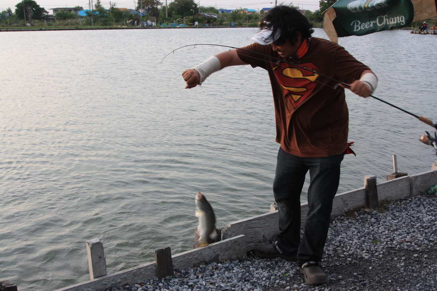 ช่วงนี้กัดดีมากครับ ตัวต่อตัวเลย :grin: :love: